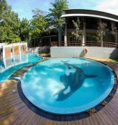 grand udawalawe safari resort