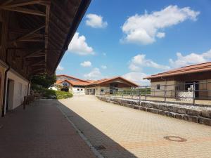 Allgau Meadow Ranch,Hergatz>>Friedrichshafen,2 star