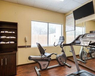 comfort suites bush intercontinental airport