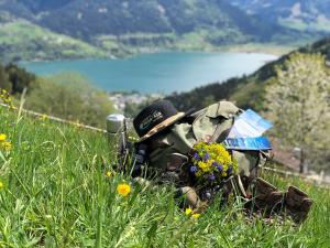 zell am see