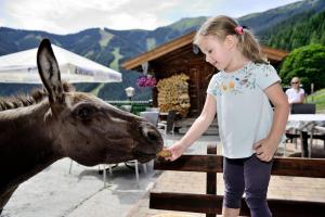 zell am see