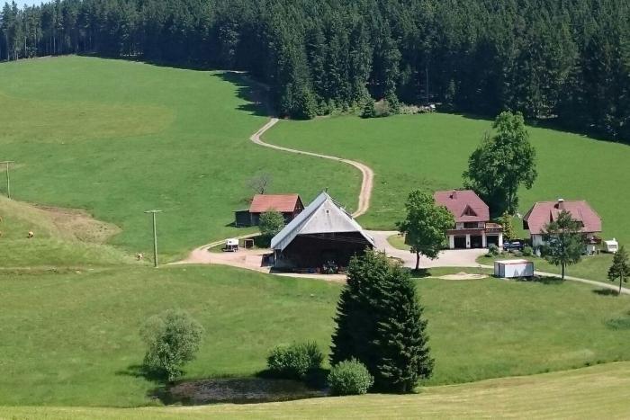 LandMark-Image