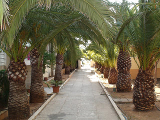 sant llorenc des cardassar