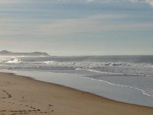 peniche