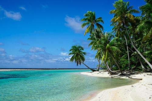 tikehau