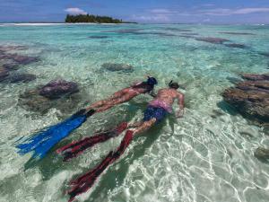 Ninamu Resort,The Tuamotu And Gambier Islands>>Tikehau,3 star