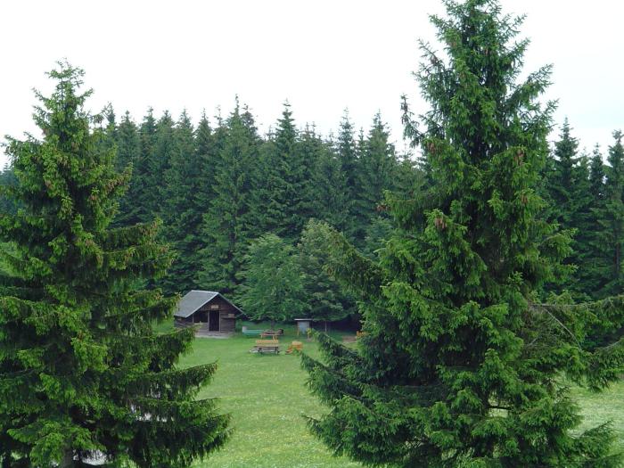 pension zum glasmacher