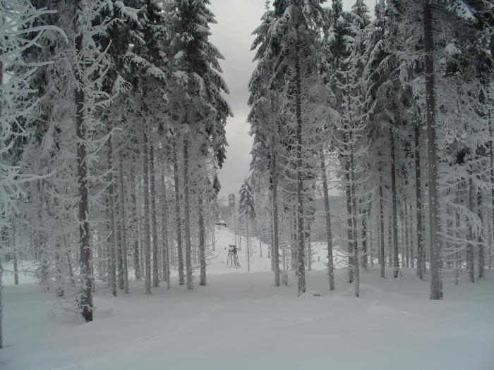 pension zum glasmacher