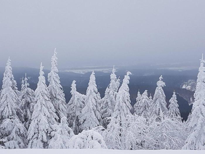 pension zum glasmacher