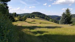 pension zum glasmacher