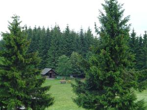 pension zum glasmacher