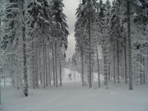 pension zum glasmacher