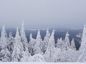 pension zum glasmacher