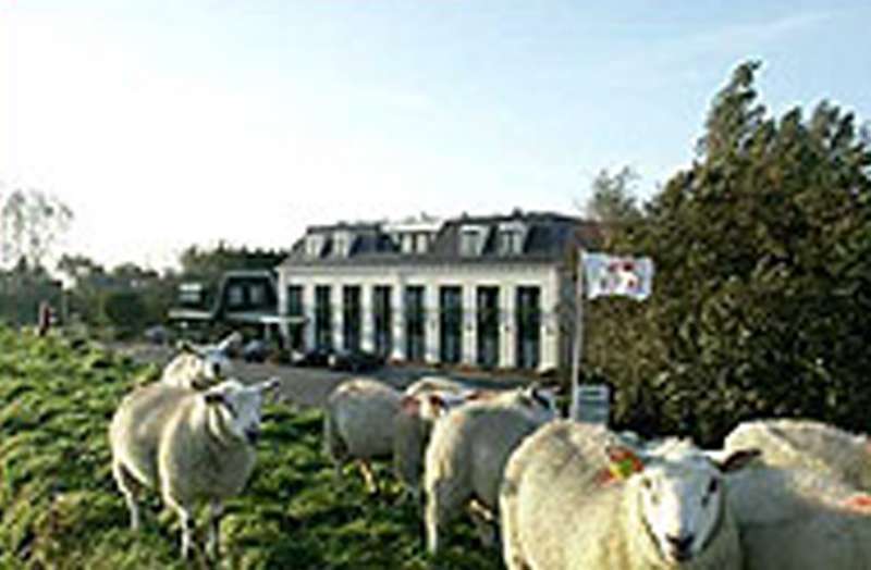 LandMark-Image