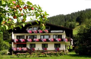 LandMark-Image