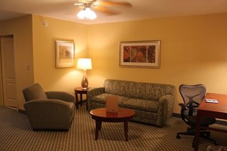 Hilton Garden Inn Conway,Pulaski County>>Conway,3 star