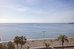 palma de mallorca