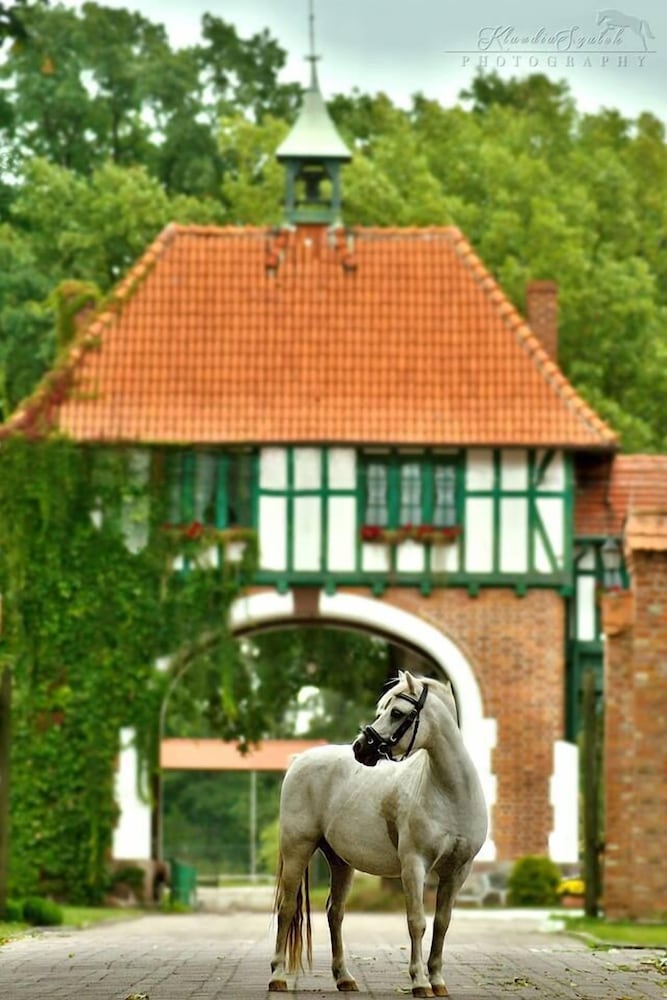 tolkmicko