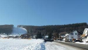 willingen