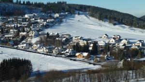 willingen