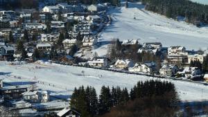 willingen