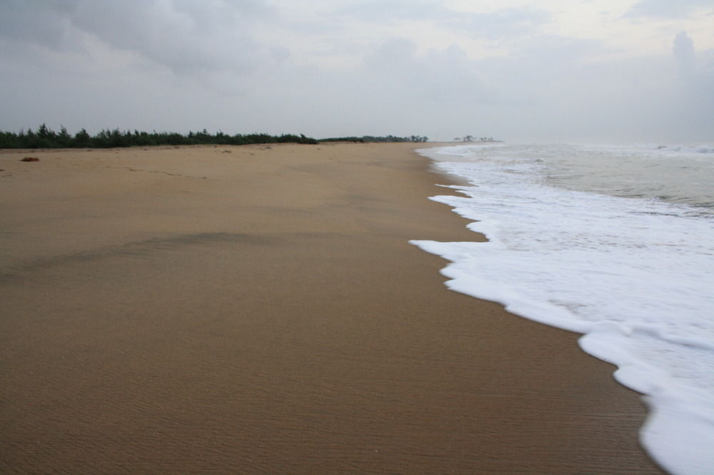 chariot beach resort