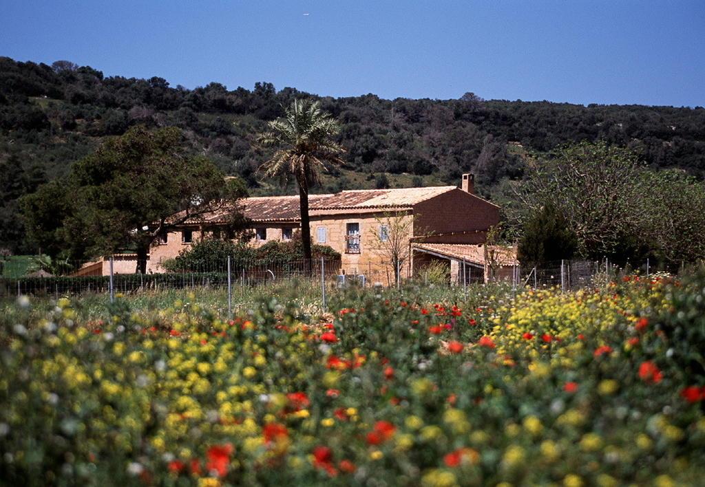 Finca Es Mayolet,Majorca>>Cala Ferrera,3 star