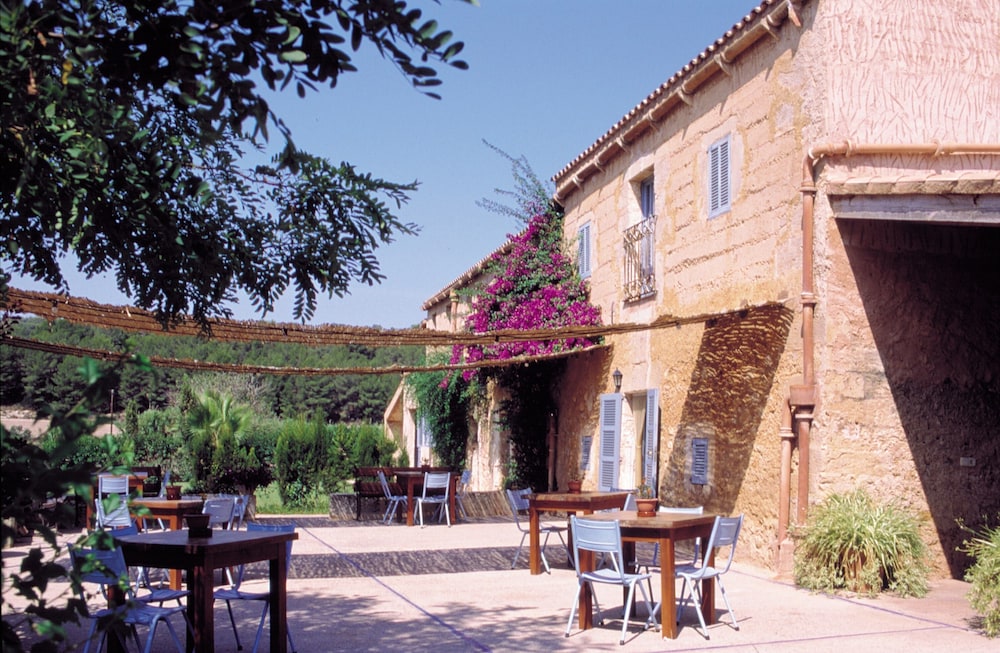 finca es mayolet