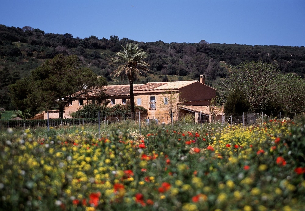 finca es mayolet