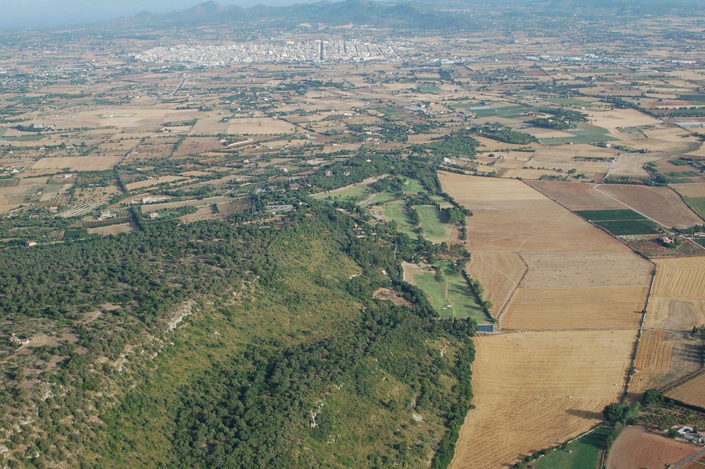 finca es mayolet
