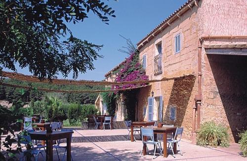 finca es mayolet
