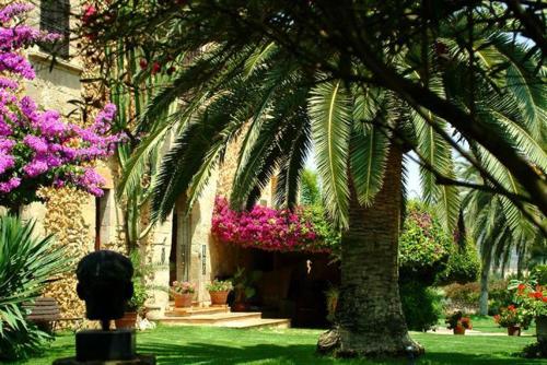 finca es mayolet