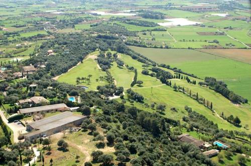 finca es mayolet
