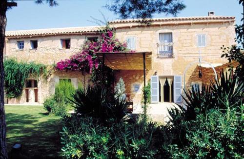 finca es mayolet