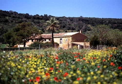 finca es mayolet