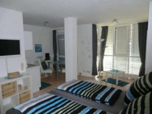 freiburg im breisgau