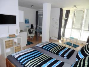 freiburg im breisgau