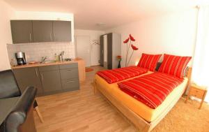 freiburg im breisgau