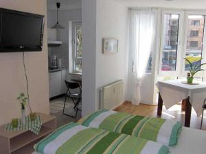 freiburg im breisgau