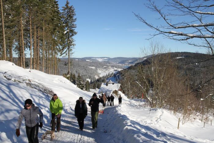 villa hubertus panorama apartment