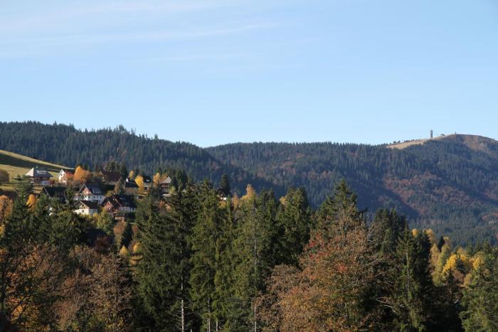 villa hubertus panorama apartment