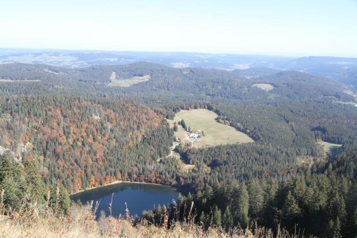 villa hubertus panorama apartment