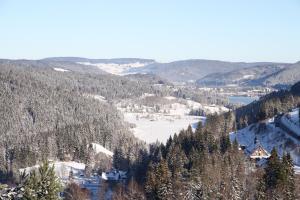 villa hubertus panorama apartment