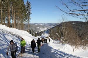villa hubertus panorama apartment
