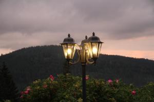 villa hubertus panorama apartment