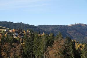 villa hubertus panorama apartment