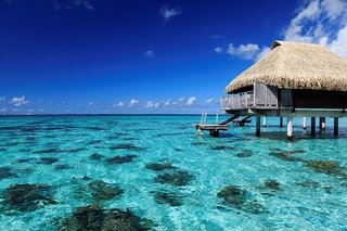 hilton moorea lagoon resort and spa