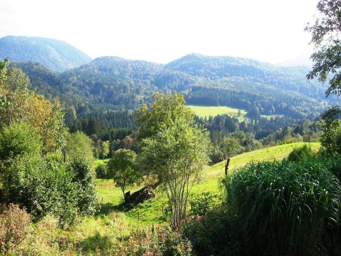 reit im winkl