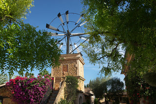 palma de mallorca