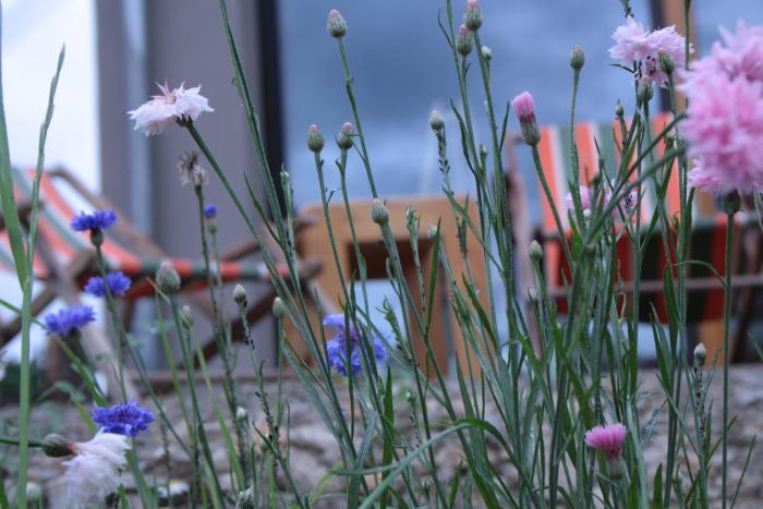 velo inn basislager bad berka